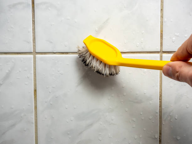 Best Residential Mold Remediation in La Villa, TX